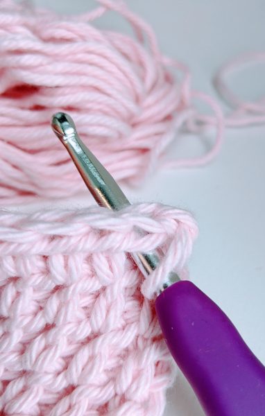 crochet hook inserted into the last row of potholder