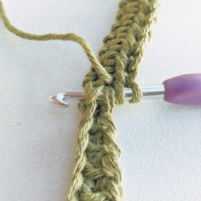 crochet hook in the middle of the row 2 of crochet potholder