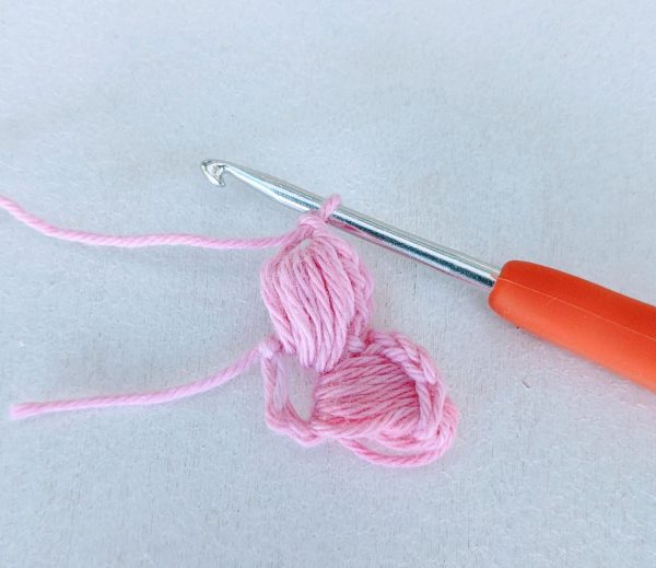 crochet hook and two petals 