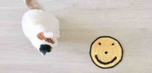 crochet smiley face washcloth with cat sitting next to it