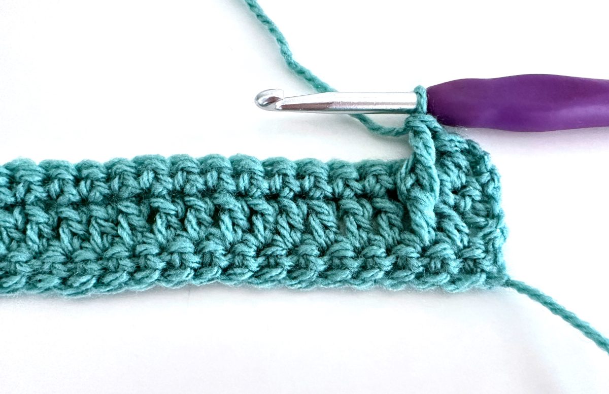 Alpine Stitch Crochet Tutorial - My Crochet Space